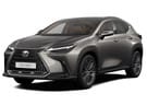 Коврики на Lexus NX II 2021 - 2025 в Казани