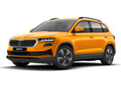 Коврики на Skoda Karoq 2017 - 2025 в Казани