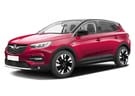 Коврики на Opel Grandland X 2017 - 2025 в Казани