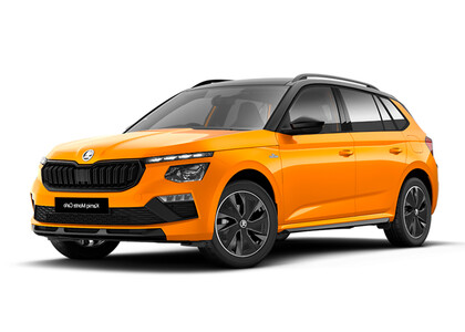 Ворсовые коврики на Skoda Kamiq 2019&nbsp;-&nbsp;2026 в Казани