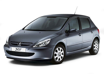 Коврики на Peugeot 307 2001 - 2008 в Казани