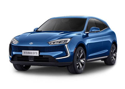 Коврики на Seres SF5 2019&nbsp;-&nbsp;2022 в Казани