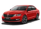 Коврики на Skoda Octavia A7 2013 - 2020 в Казани