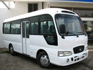 Коврики на Hyundai County 2006 - 2016 в Казани