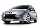 Коврики на Peugeot 307 2001 - 2008 в Казани