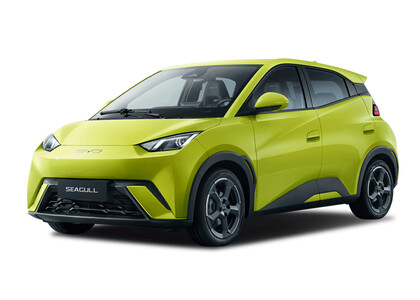 Коврики на BYD Seagull 1 2023&nbsp;-&nbsp;2026 в Казани