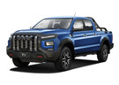 Коврики на JAC T9 2021 - 2025 в Казани
