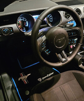 Ворсовые коврики на Ford Mustang VI 2013&nbsp;-&nbsp;2023 в Казани