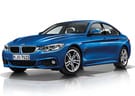 Коврики на BMW 4 (F36/F32/F33) 2013 - 2020 в Казани