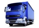 Коврики на DAF LF 2001 - 2025 в Казани