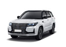 Ворсовые коврики на Changan CS95 2016 - 2025 в Казани