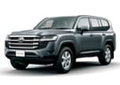 Коврики на Toyota Land Cruiser 300 2021 - 2025 в Казани