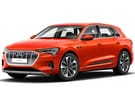 Ворсовые коврики на Audi e-tron 2018 - 2025 в Казани