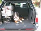 EVA коврики на BMW X5 (E53) 1999 - 2006 в Казани